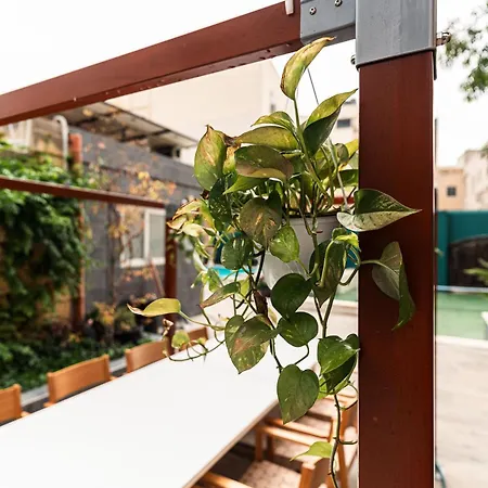 8 At Palazzo Seraphim Boutique Living In St Julians Guest house Saint Julian's