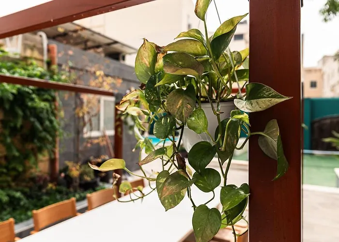 8 At Palazzo Seraphim Boutique Living In St Julians Vendégház San Ġiljan